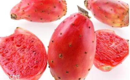 仙人掌果多少钱一斤