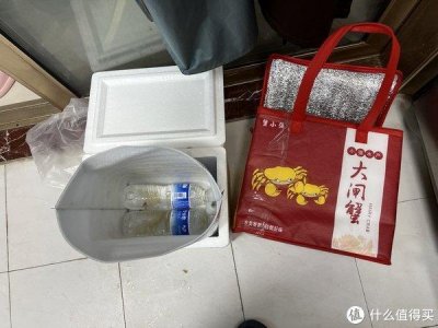 ​正经大通湖大闸蟹，不是过水蟹