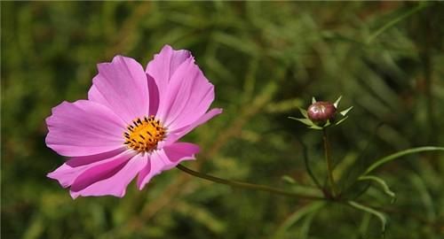 多媒体技术的特点，多媒体艺术较之影视艺术的特点？图5