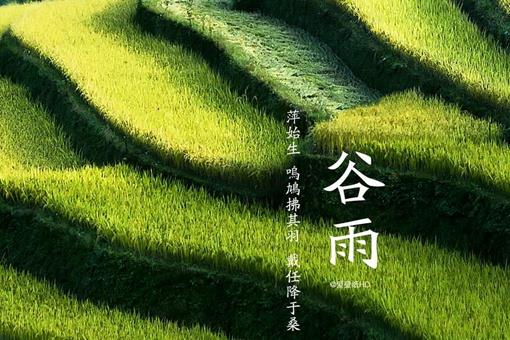 描写谷雨的古诗有哪些？