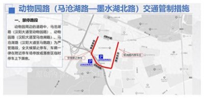 ​8天假期前往武汉动物园，交通出行提示先收藏好！