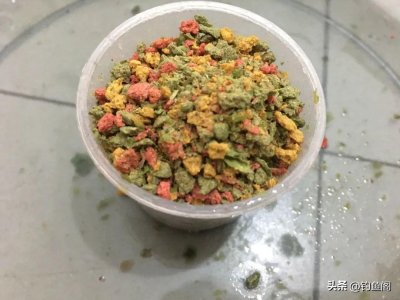 ​螺鲤钓鲤鱼的最佳配方，最后一个是“压箱底”的绝招