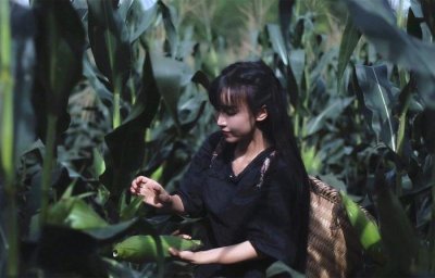 ​小白赚钱攻略 百度经验挖矿思路 思维比方法更重要