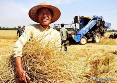 ​东汉酒价格(东汉时期的酒)