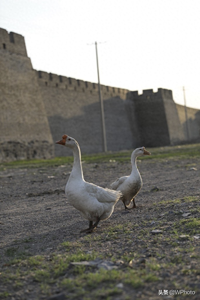 河北怀来鸡鸣驿，中国现存最大的古驿站