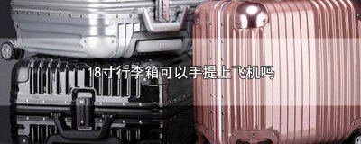 ​要求18寸带20寸手提行李 手提行李7kg可以带18寸的行李箱吗