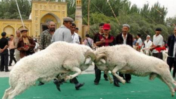 古尔邦节是什么时候