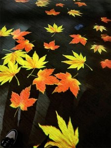 星座匹配：与金牛座最恩爱的星座