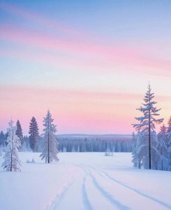 【星座爱情密码：揭秘十二星座如何表达爱】