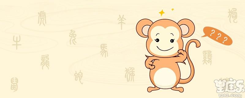 属猴的和属虎的相配吗