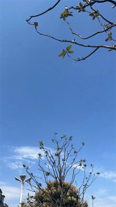 11月30日后将有运势上升发财不可阻挡被认为是人生赢家的4个星座