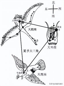 【科学向日葵】天文课堂 | 认识夏季星座（二十四）——天鹅座