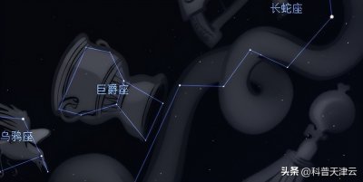 【科学向日葵】天文课堂 | 认识春季星座（十六）——巨爵座