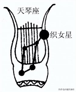【科学向日葵】天文课堂 | 认识夏季星座（二十一）——天琴座