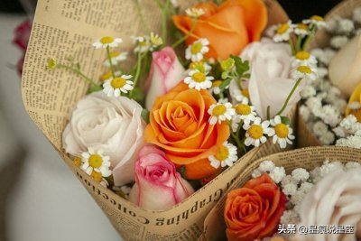 哪些星座会爱上双子座