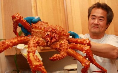 ​杀人蟹不杀人？不是蜘蛛，也没变异，世界上最大，人类盘中餐？