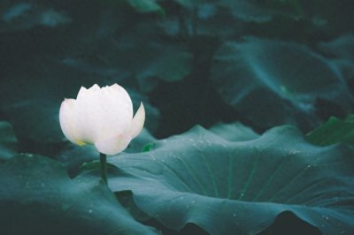 ​冥通币由来与作用