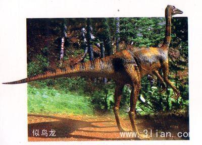 远古时代各类恐龙图鉴