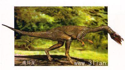 远古时代各类恐龙图鉴