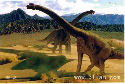 远古时代各类恐龙图鉴