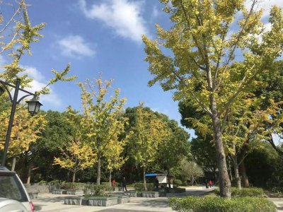 ​游上海：嘉定安亭篇