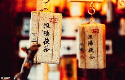 ​泾阳茯茶的历史你知道吗？