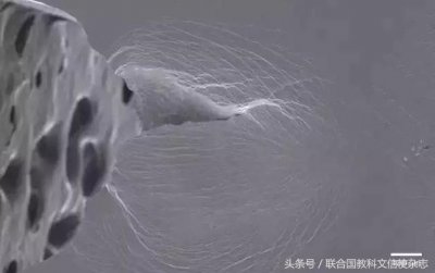 ​世界十大最坚硬材料，金刚石竟然排第10（组图）下