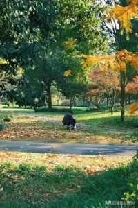 ​人死后，到底去了哪里？