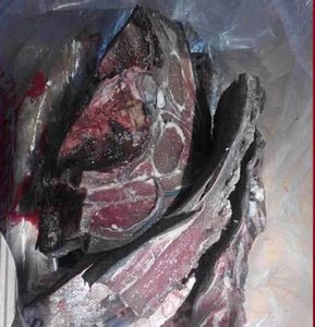 ​中国乌骨羊：肉羊当中的佳品，一只卖1万元，养殖户很少养