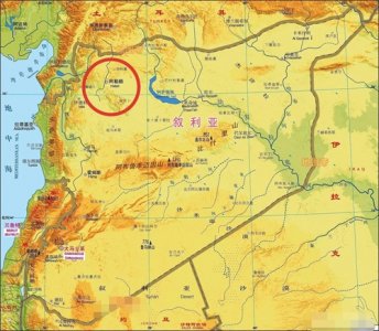 ​阿勒颇的缺陷