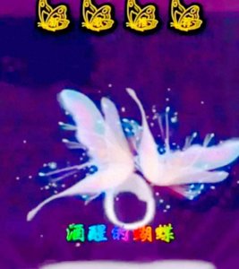 ​酒醒的蝴蝶：在迷失中找回自我