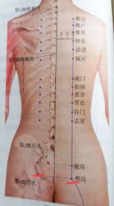 ​每日一穴——秩边穴