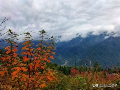 ​四川德阳什邡·川西红枫岭记忆