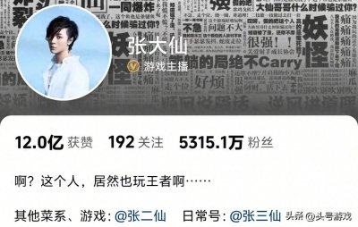 ​超5000万粉丝苦等半年！王者一哥张大仙停播真相揭秘，退网吗？