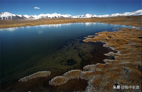 1996年的长江源头，唐古拉山脉主峰各拉丹东雪山