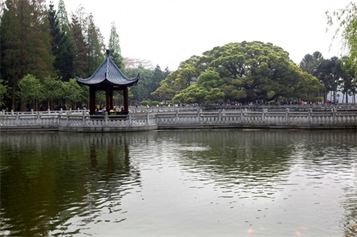 它是全国十大森林公园之一，森林覆盖率高，被誉为“福州之肺”