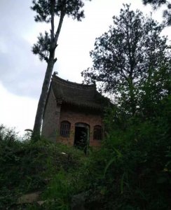 ​民间传说：苗族巫蛊毒术，绝情蛊毒，一生若有二心只配一座坟