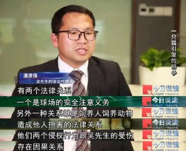 ​打球时踩流浪猫摔倒致十级伤残，投喂者被判赔从24万到4.8万