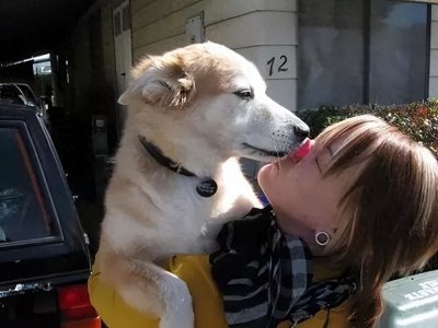 ​中通快递：中国快递业的稳定与安全选择