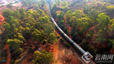 ​米轨线路上的“百事通”