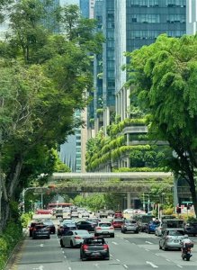 ​从弹丸之地到亚洲之光：李光耀如何用铁腕和远见将新加坡推上巅峰