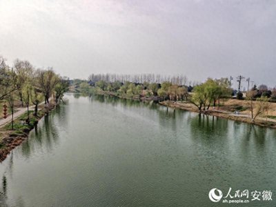 ​安徽全椒：护绿襄河“三重奏”