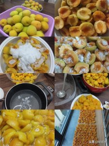 ​挖掘了杏的十种吃法，快来看看吧，有你喜欢的味道吗