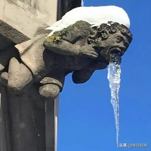 ​12张罕见的搞笑图片，笑到肚子疼