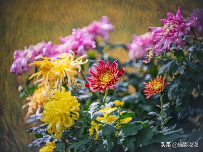 ​让金像奖获得者爱不释手的折返镜头是哪个？