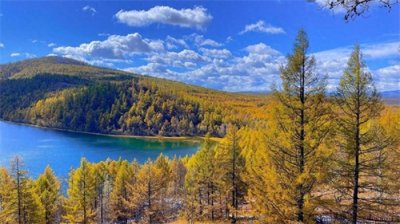 ​秋天童话！阿尔山国家森林公园，内蒙古秋天的视觉盛宴