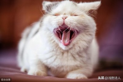 ​盘点2019年笑死人的梗