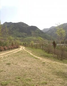 ​神秘的牛头山