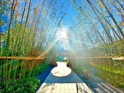 ​中国十大宜居城市：探寻理想生活的诗意栖居地