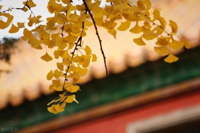 ​富察皇后的兄弟中，有血性的，只有幼弟傅恒？还有她的二哥傅清